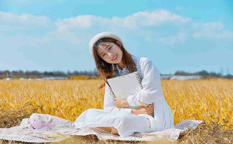 站群推廣排名效果