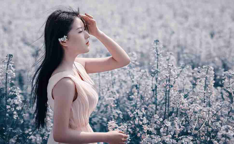 站群服務(wù)器用科杰8