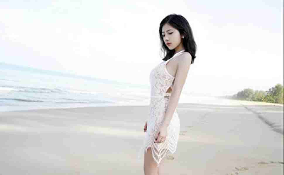 泛站群免費源碼